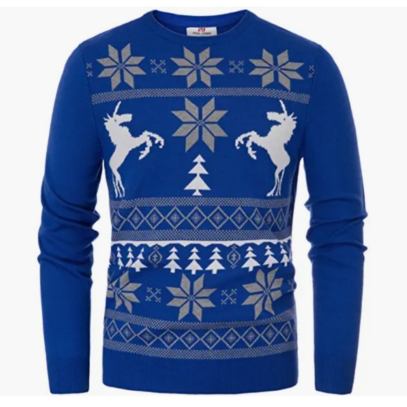 Paul Jones Other - PAUL JONES Unisex Ugly Christmas Sweater